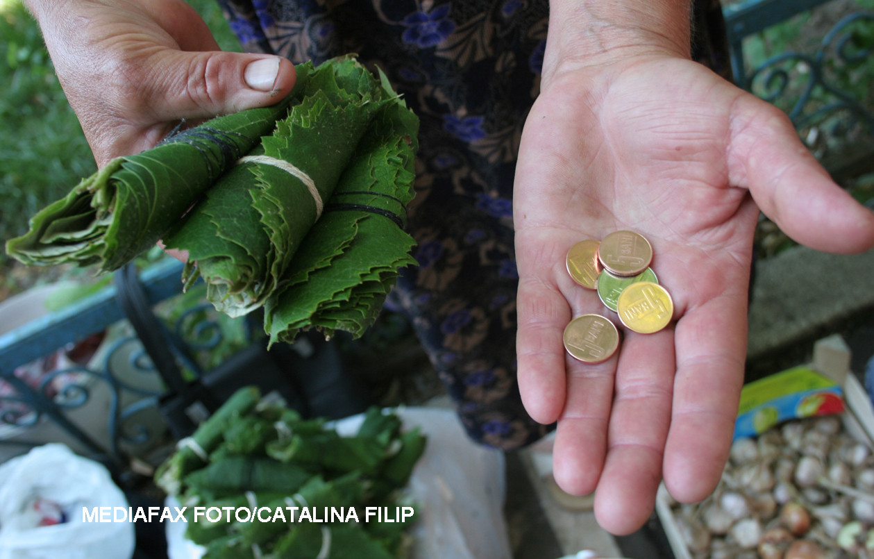 "Deprivare materiala severa", boala de care sufera peste 6 milioane de romani. Primul simptom este lipsa acuta a banilor