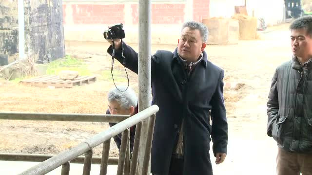 Procesatorii de lactate din Romania au ramas cu stocuri imense de produse. Lovitura uriasa pe care au primit-o de la chinezi