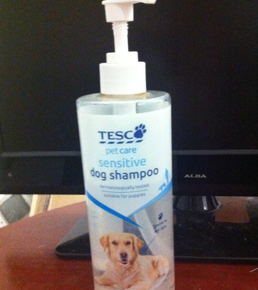 "Samponul vostru mi-a vopsit cainele roz!". Ce se ascunde de fapt in spatele celei mai viralizate imagini pe Twitter din 2015