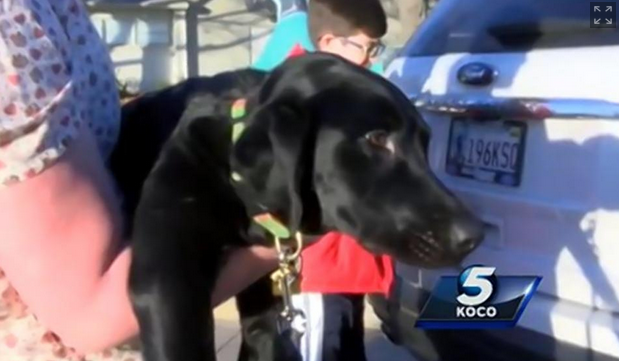 Cainele le-a facut o paguba de 23.000 de dolari. Ce a descoperit familia din SUA cand l-a dus la veterinar