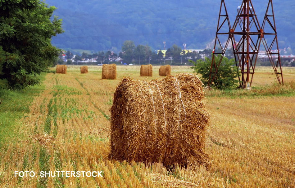 România ar putea influența prețurile mondiale. Războiul Rusia-Ucraina este și economic
