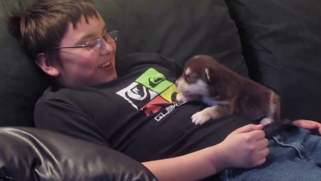 Cum invata un pui de catel sa urle. Videoclipul simpatic de 10 milioane de afisari e viral pe internet