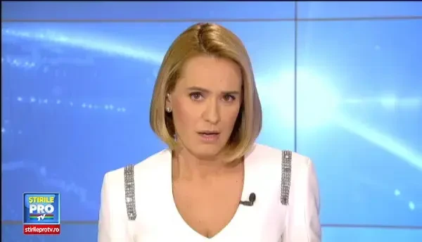 Seful ASPA acuza ONG-urile ca ar fi exportat maidanezii Capitalei unor retele de zoofilie. Replica lor: Bancescu e Pinocchio