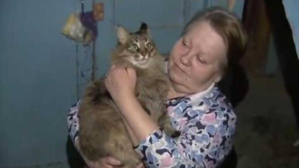 O pisica a salvat viata unui copil abandonat, in Rusia. Cum a devenit Masha eroina orasului. VIDEO