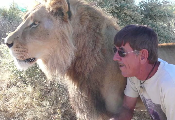 Povestea impresionanta din spatele acestei imagini. Ce se intampla cand un leu e cel mai bun prieten al omului - VIDEO