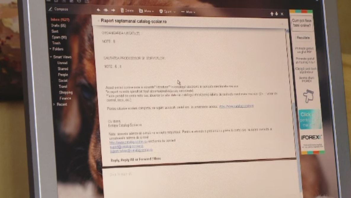 Aplicatia care a rezolvat problema absentelor in liceele din Timisoara. Cum functioneaza catalogul online