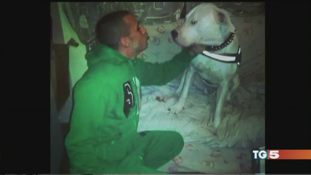 Un roman a platit cu viata pentru un compliment facut unui caine. Ce a spus de l-a infuriat pe stapanul patrupedului