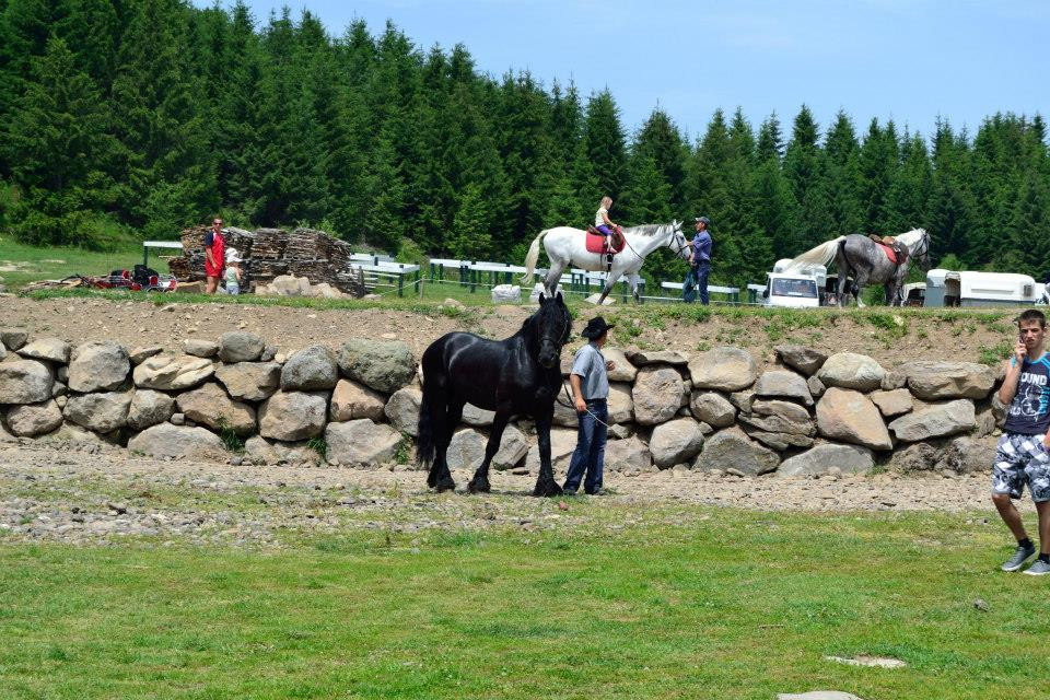 Turist in Romania. Peisaje extraordinare la Baile Homorod, locul cunoscut de pe vremea romanilor, pentru izvoarele minerale