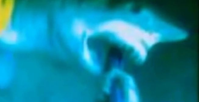 Momentul in care un adolescent este muscat de un rechin. Atacul a fost filmat cu o camera GoPro. VIDEO