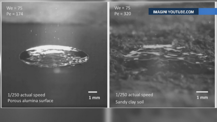 De ce miroase frumos dupa ploaie? Doi cercetatori au descoperit raspunsul