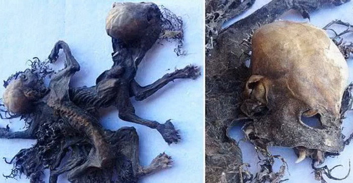 Descoperire bizara facuta de un fermier din Chile. Pot fi ramasitele unor creaturi mitice