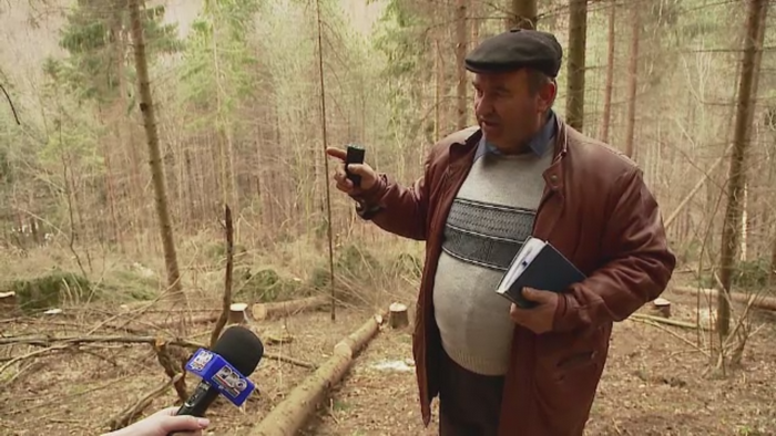 Situatie disperata intr-o padure din Cluj. Hotii de lemne au "ras de pe fata pamantului" zeci de hectare