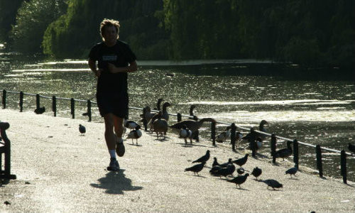 Cat sport trebuie sa facem in fiecare saptamana? Expertii spun ca recomandarile actuale sunt “nerealiste”