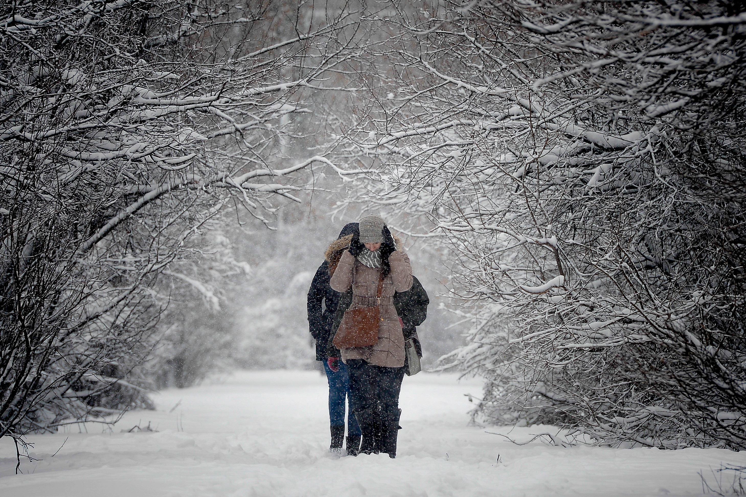 Avertizare de NINSORI si ploi in intreaga tara, pana luni dupa-amiaza. Cod portocaliu de inundatii in Timis si Dolj