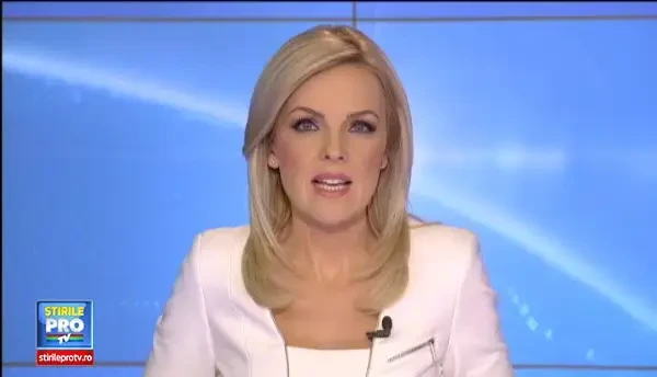 Controversa pe internet din cauza unui film cu patru pisici. De ce este acuzat stapanul lor