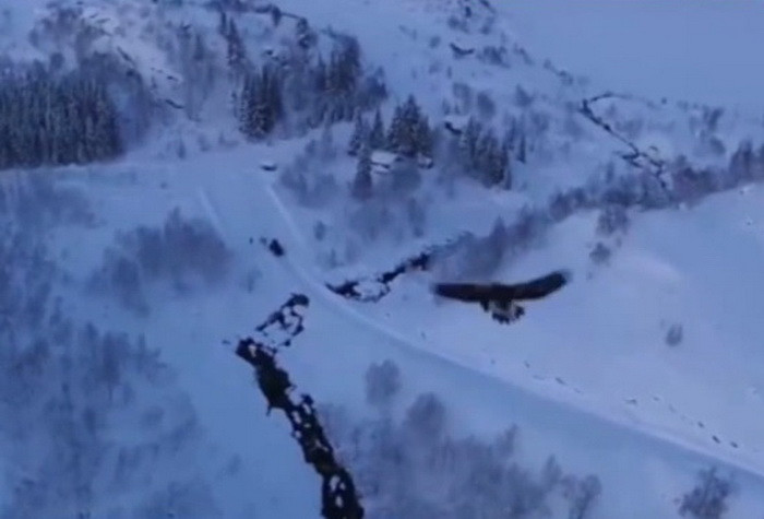 Natura vs tehnologie. Ce se intampla cand o drona este atacata de un vultur. Video