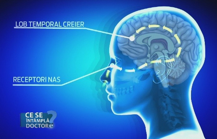 Cand devine lipsa mirosului o problema? Sfaturile medicilor cu privire la alergiile respiratorii