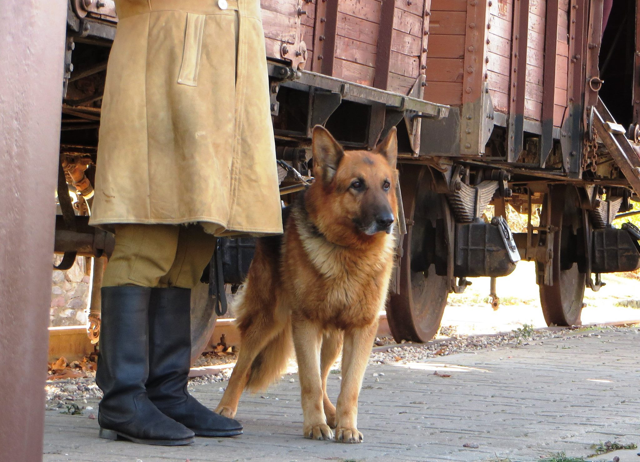 Parcul de distractii de unde iesi batut, muscat si injurat. Ce se intampla cu vizitatorii care indraznesc sa protesteze