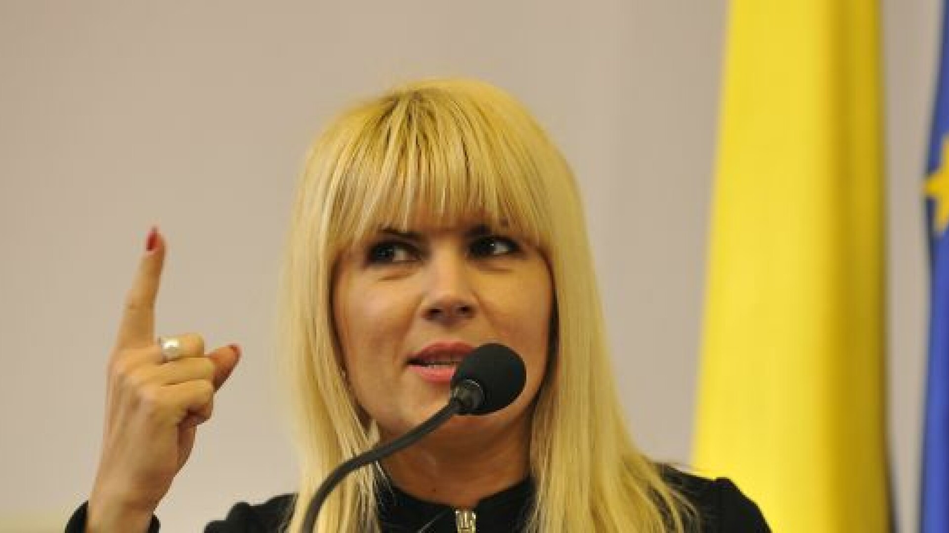 Dosarul "Gala Bute". De ce a cerut DNA arestarea Elenei Udrea si gluma pe care fostul ministru ar fi facut-o in fata Comisiei