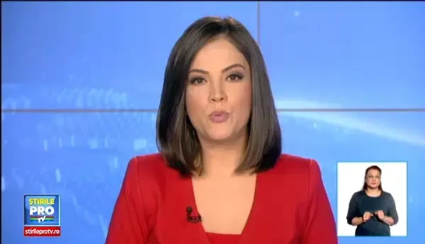 Descoperire ingrozitoare, la marginea orasului Zalau. Un barbat ar fi fost sfasiat de 2 caini de rasa, scapati dintr-o curte