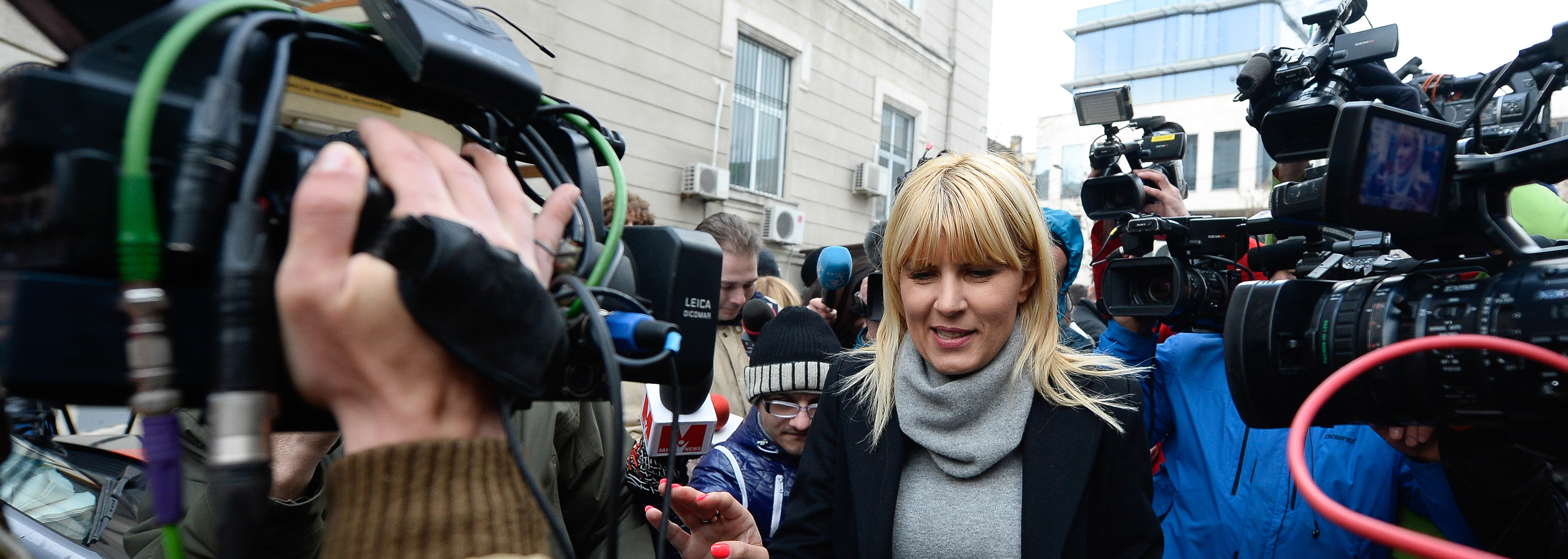 Elena Udrea a fost plasata in AREST la DOMICILIU. Fostul ministru a parasit inchisoarea dupa o saptamana