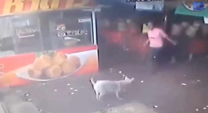 A vrut sa loveasca un caine, dar s-a trezit cu nasul lipit de asfalt. Cum s-a facut un barbat de ras pe internet