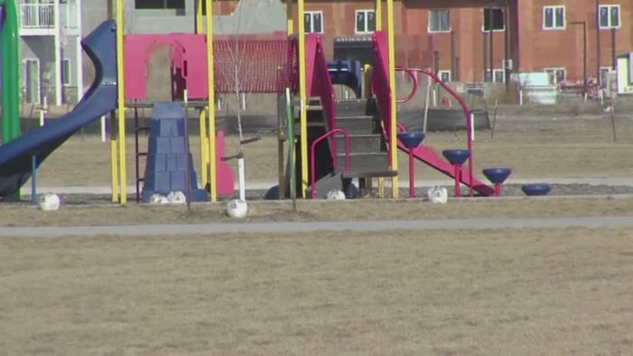 Invazie de iepuri intr-un oras din Statele Unite. De ce nu pot scapa localnicii de ei