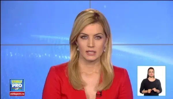 Surse: Fostii subalterni ai Elenei Udrea ar colabora cu anchetatorii. ANI ii verifica averea fostului ministru al Turismului