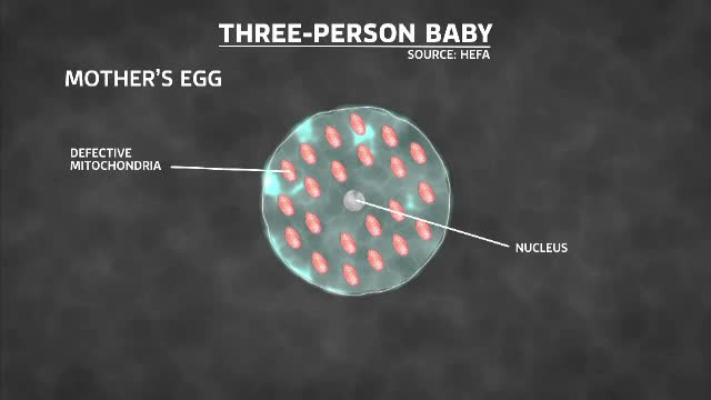 Copilul cu 3 parinti. Marea Britanie este prima tara care permite conceperea unui bebelus cu material genetic de la 3 adulti