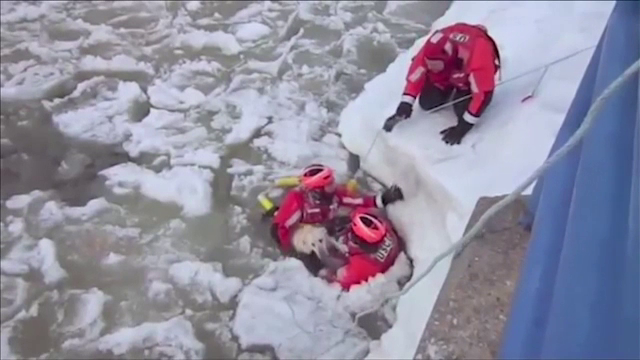Caine salvat din mijlocul raului de garda de coasta din Michigan. Ce s-a intamplat cu patrupedul