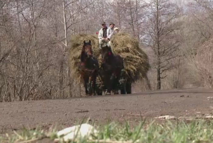Satele romanesti, un nou mod de vacanta pentru generatia Y. Turistii vor sa lucreze gradina si sa puna pozele pe Facebook