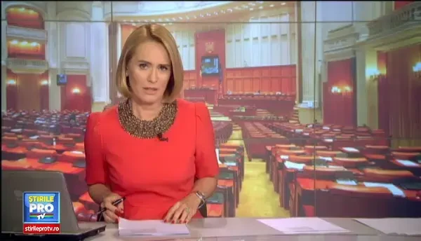 Deputati amendati de ANI in cazul incompatibilitatii lui Petre Roman. Cum s-a ajuns la razboi deschis intre cele 2 institutii