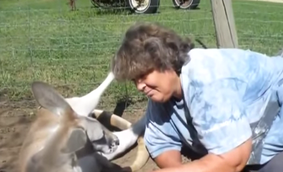 Cum a intrat o femeie intr-un restaurant McDonald's. A fost data afara, dupa ce mai multi clienti s-au plans