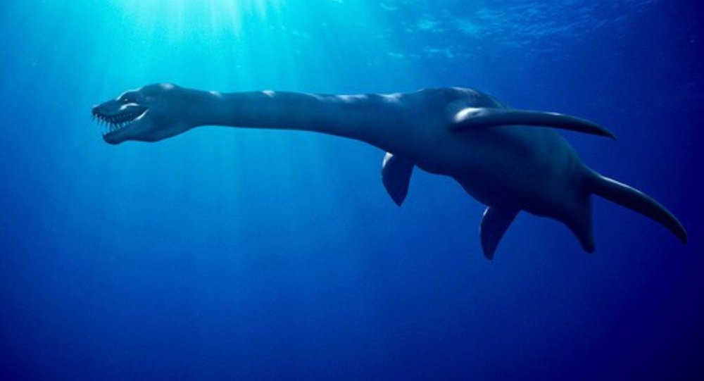 O noua specie de reptila marina, identificata pe baza unor oseminte vechi de 70 milioane de ani, in Rusia