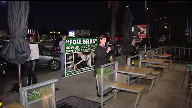 "Eliberati pasarile!". Proteste in California pentru interzicerea foie gras, delicatesa obtinuta din ficatul ratelor indopate
