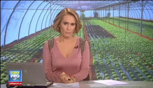 Schingiuiti, batuti si impuscati de patronii italieni. Romanii care muncesc cu arma la cap in Sicilia: Nu vorbeste nimeni!