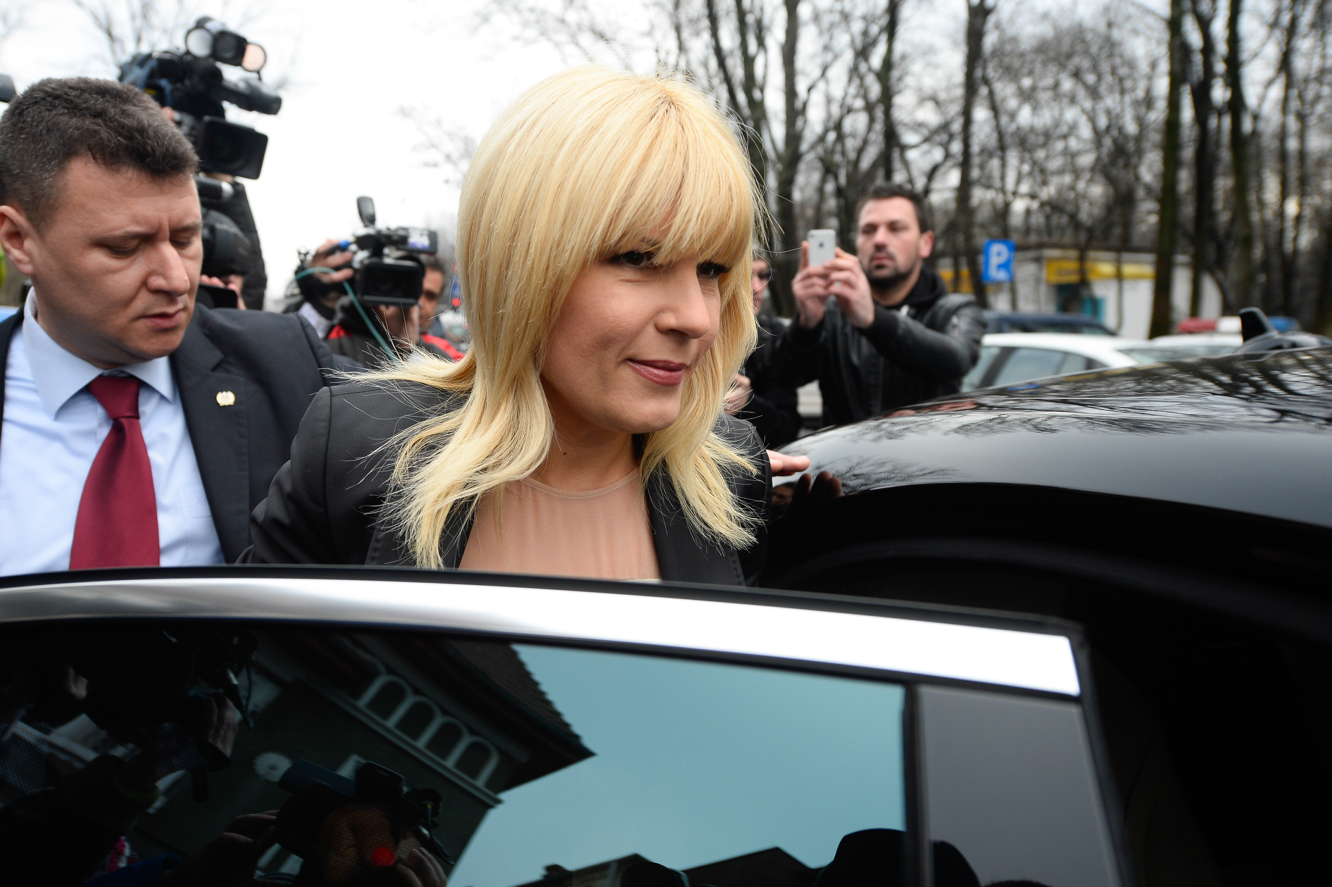 DOSARUL Gala Bute. Administratorul mosiei de la Nana a Elenei Udrea, retinut de DNA. Suma pe care ar fi primit-o mita