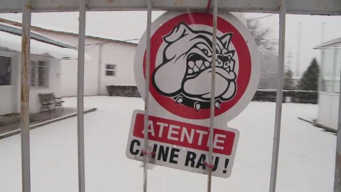 Incident grav in Cluj. Angajatul unei firme a fost aproape omorat de cainii din curtea institutiei