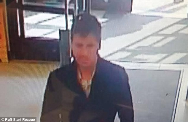 Un barbat din SUA a furat o pisica pentru ca nu avea bani pentru cadoul de Sfantul Valentin. Ce a facut a doua zi