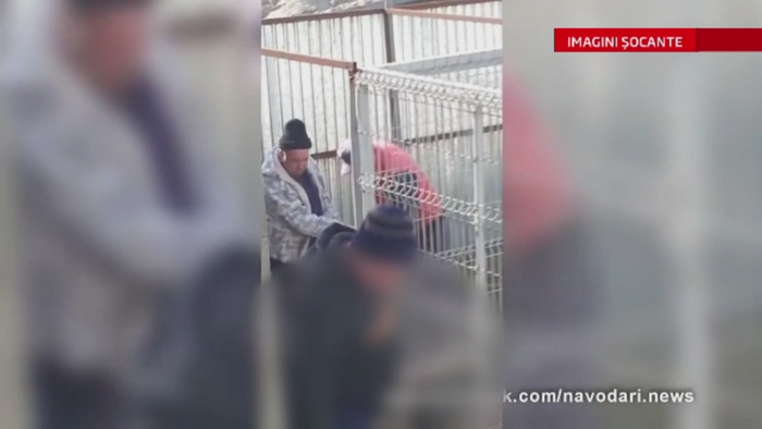 Ancheta in Navodari, in urma unei filmari de pe Facebook. Un angajat de la Biobaza, surprins in timp ce chinuia un caine
