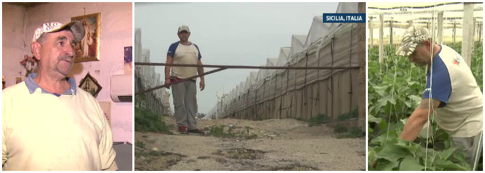 "Doar Dumnezeu ma mai aude". Cum raspunde Nea Costica la intrebarea "cati bani ati strans in 10 ani de munca in Sicilia?"
