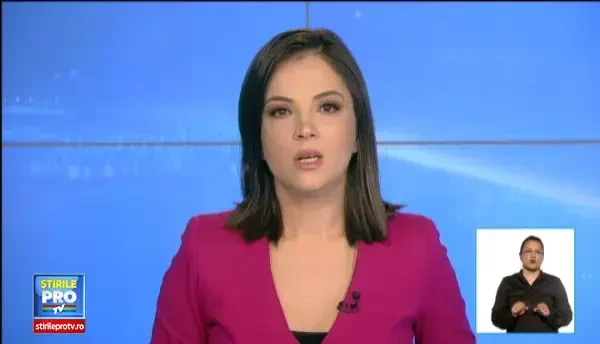 Ce se va intampla cu Lica si Tica, cei doi pui de leu crescuti de o catelusa la Targu Mures