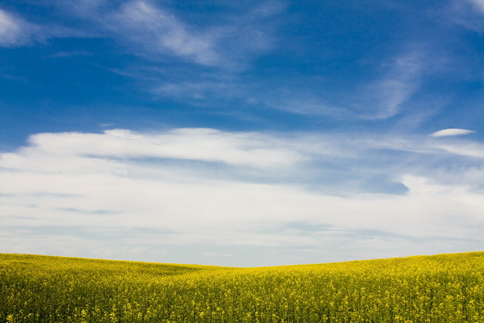 Vremea se incalzeste neasteptat de mult, iar temperaturile ating 14 grade luni. Prognoza pentru zilele urmatoare