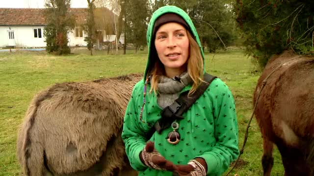 A renuntat la slujba, si-a vandut masinile, iar de 5 ani merge pe jos prin Europa. Mesajul lui Morgan pentru oameni