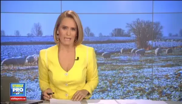 Romanii vor avea de unde sa aleaga de Paste: miei vor fi numerosi, iar preturile, cel putin teoretic, mai mici