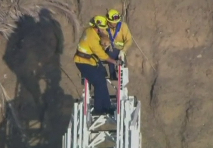 Salvare emotionanta a unui caine blocat in peretele unei faleze din California. VIDEO