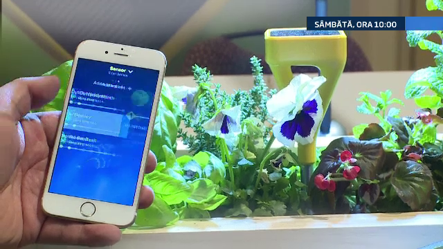 iLikeIT. Cele mai interesante gadgeturi de la Targul de Tehnologie din Las Vegas, prezentate sambata de George Buhnici