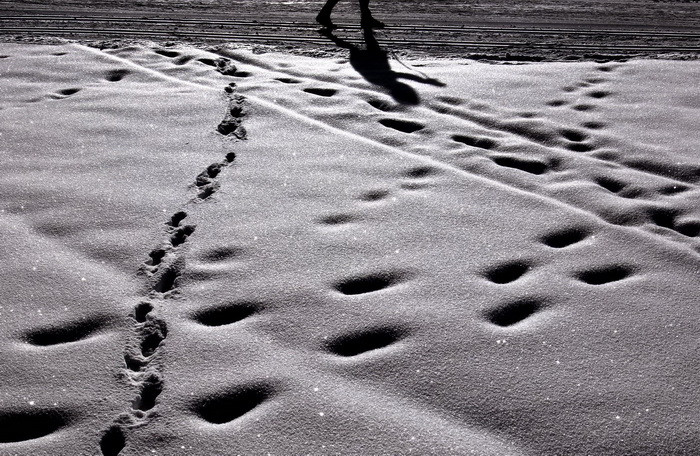 Modalitatea amuzanta prin care un hot a fost prins la doar cateva ore dupa ce sparsese o casa. Victima a ajuns fix la usa lui