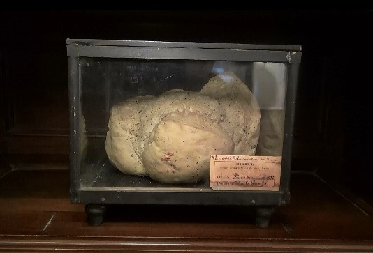 O paine coapta acum un secol, expusa la muzeul din Galati. Povestea celui mai vechi produs de panificatie din Romania