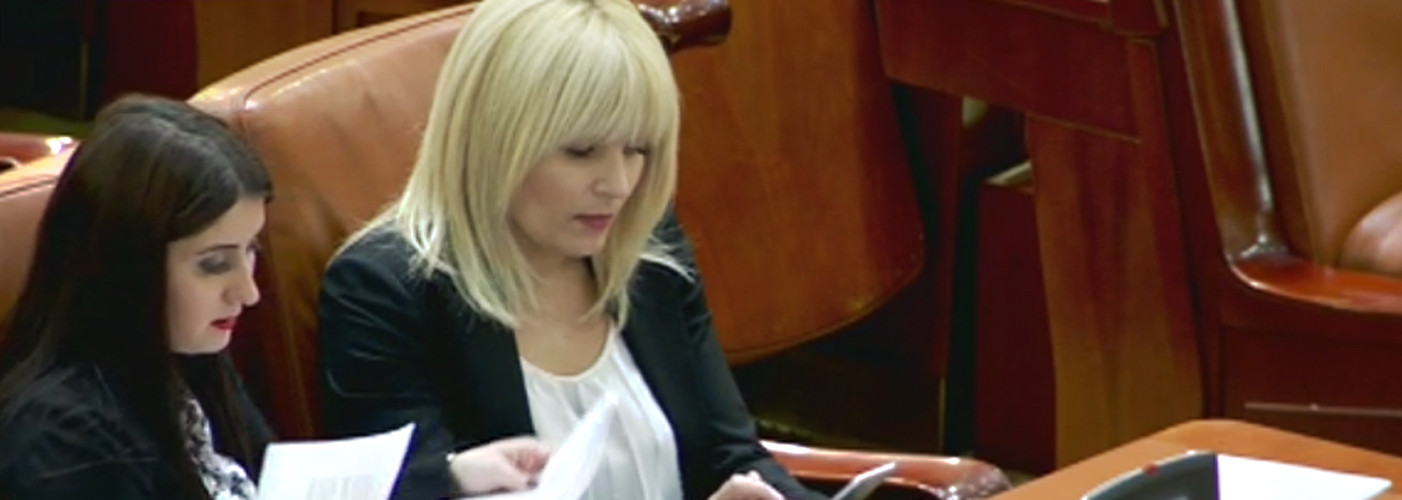 Elena Udrea poate fi arestata in dosarul GALA BUTE: "Sunt vanata sistematic. Am vrut sa vin in catuse in Parlament"